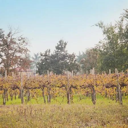 Feriegård Pituello Talmassons